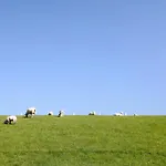 Hoern 2 Lägenhet